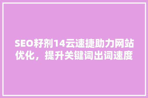 SEO籽剂14云速捷助力网站优化，提升关键词出词速度与质量
