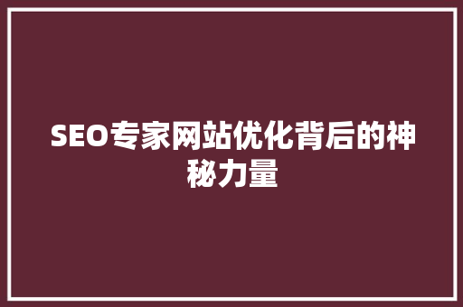 SEO专家网站优化背后的神秘力量