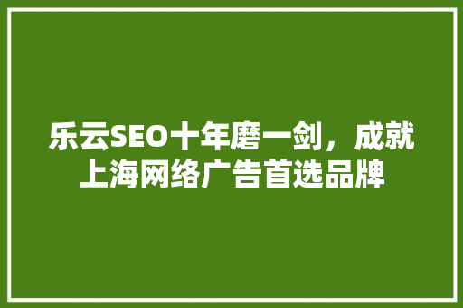 乐云SEO十年磨一剑，成就上海网络广告首选品牌