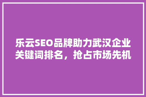 乐云SEO品牌助力武汉企业关键词排名，抢占市场先机