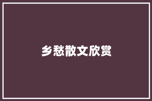乐云SEO网络营销系统公司中的SEO实力担当