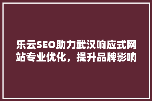 乐云SEO助力武汉响应式网站专业优化，提升品牌影响力