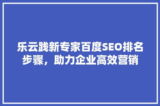 乐云践新专家百度SEO排名步骤，助力企业高效营销