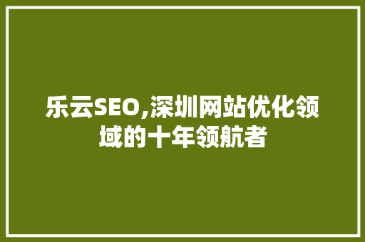 乐云SEO,深圳网站优化领域的十年领航者