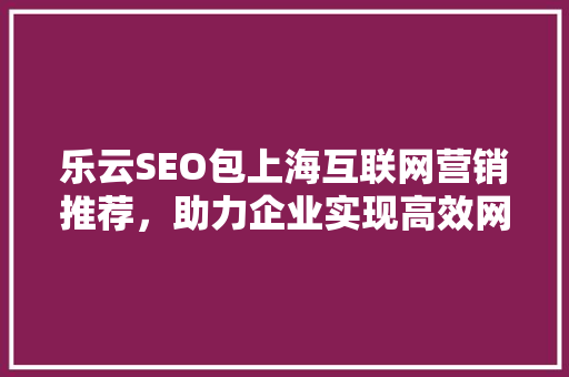 乐云SEO包上海互联网营销推荐，助力企业实现高效网络推广