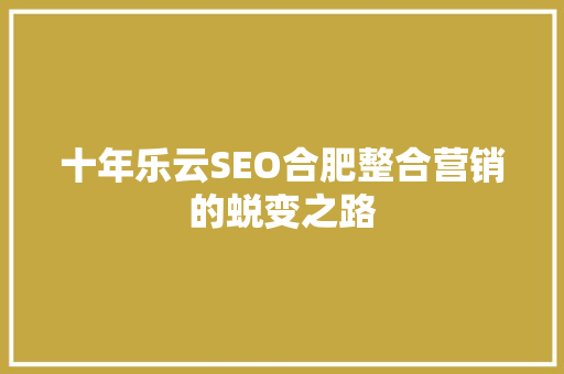十年乐云SEO合肥整合营销的蜕变之路