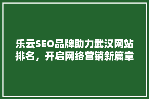 乐云SEO品牌助力武汉网站排名，开启网络营销新篇章