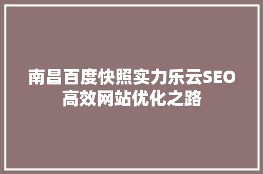 南昌百度快照实力乐云SEO高效网站优化之路