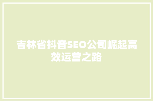 吉林省抖音SEO公司崛起高效运营之路