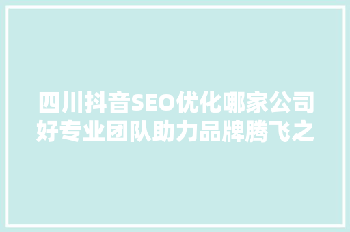 四川抖音SEO优化哪家公司好专业团队助力品牌腾飞之路