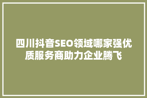 四川抖音SEO领域哪家强优质服务商助力企业腾飞