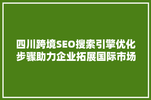 四川跨境SEO搜索引擎优化步骤助力企业拓展国际市场