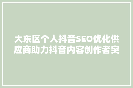 大东区个人抖音SEO优化供应商助力抖音内容创作者突破流量瓶颈