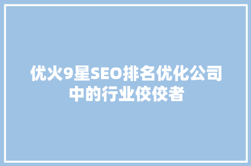 优火9星SEO排名优化公司中的行业佼佼者