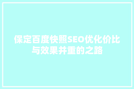 保定百度快照SEO优化价比与效果并重的之路