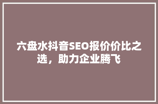 六盘水抖音SEO报价价比之选，助力企业腾飞
