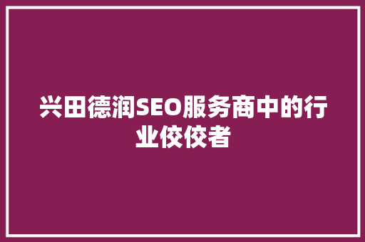兴田德润SEO服务商中的行业佼佼者