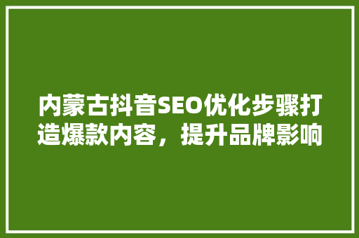 内蒙古抖音SEO优化步骤打造爆款内容，提升品牌影响力