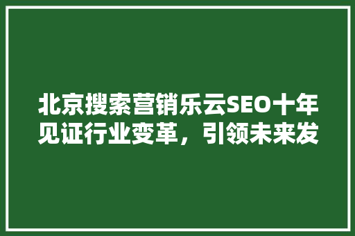 北京搜索营销乐云SEO十年见证行业变革，引领未来发展