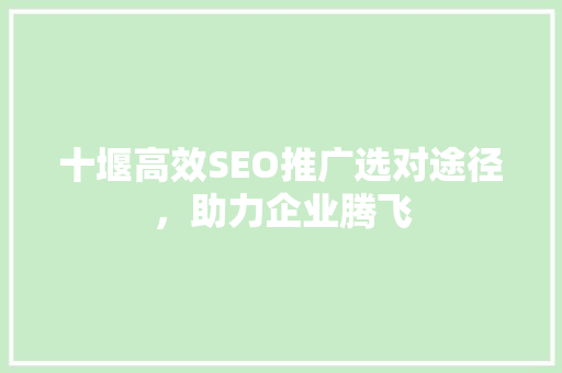 十堰高效SEO推广选对途径，助力企业腾飞