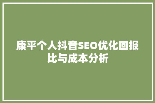 康平个人抖音SEO优化回报比与成本分析