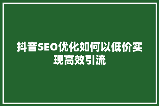 抖音SEO优化如何以低价实现高效引流