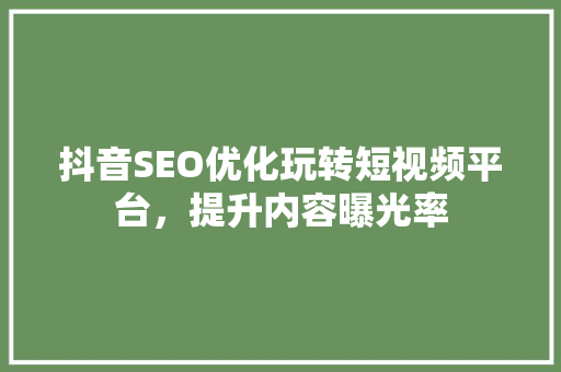 抖音SEO优化玩转短视频平台，提升内容曝光率
