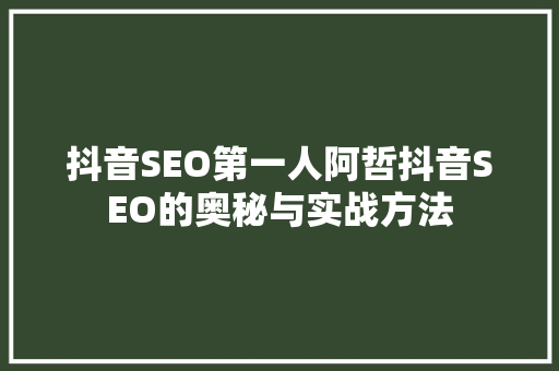 抖音SEO第一人阿哲抖音SEO的奥秘与实战方法