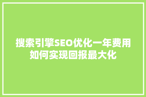 搜索引擎SEO优化一年费用如何实现回报最大化