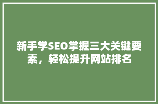新手学SEO掌握三大关键要素，轻松提升网站排名