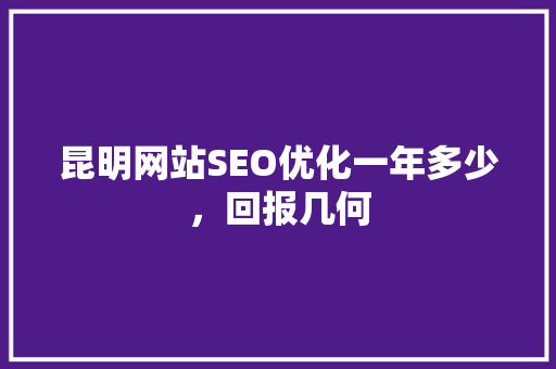 昆明网站SEO优化一年多少，回报几何
