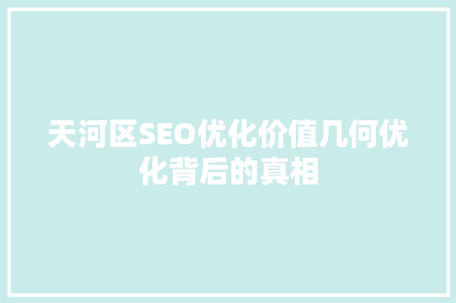 天河区SEO优化价值几何优化背后的真相