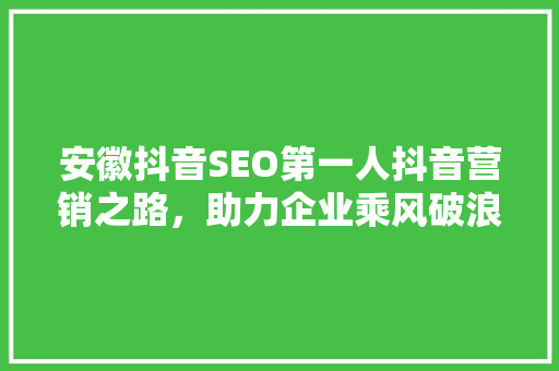 安徽抖音SEO第一人抖音营销之路，助力企业乘风破浪