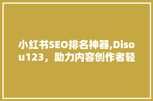 小红书SEO排名神器,Disou123，助力内容创作者轻松上位