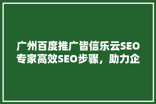 广州百度推广皆信乐云SEO专家高效SEO步骤，助力企业抢占市场先机