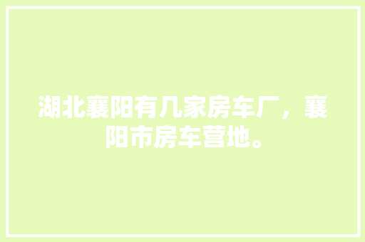 21火星软件SEO关键词优化之路