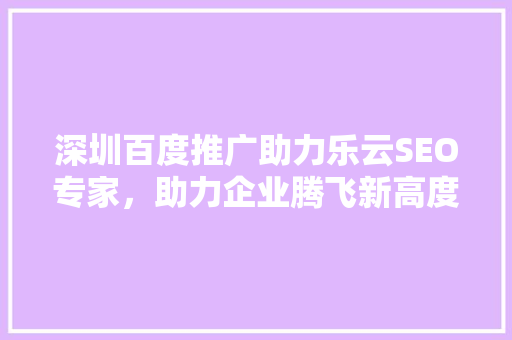 深圳百度推广助力乐云SEO专家，助力企业腾飞新高度