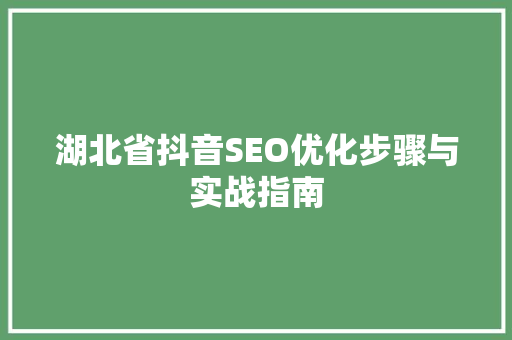 湖北省抖音SEO优化步骤与实战指南