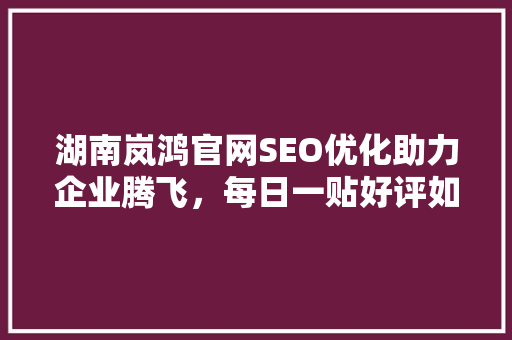 湖南岚鸿官网SEO优化助力企业腾飞，每日一贴好评如潮