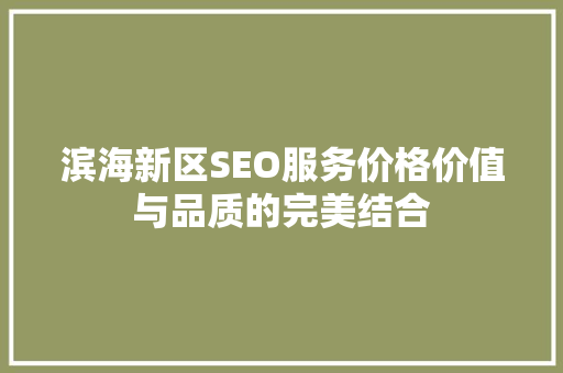 滨海新区SEO服务价格价值与品质的完美结合