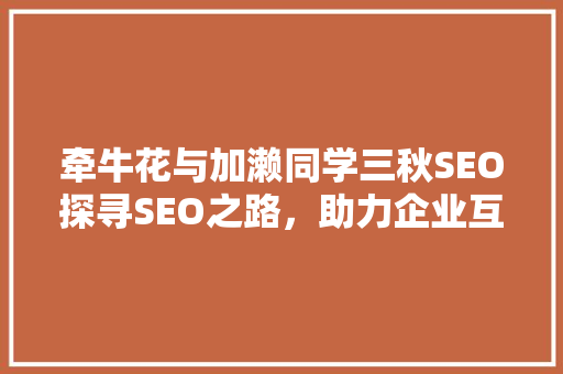 牵牛花与加濑同学三秋SEO探寻SEO之路，助力企业互联网营销