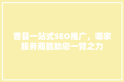 曹县一站式SEO推广，哪家服务商能助您一臂之力