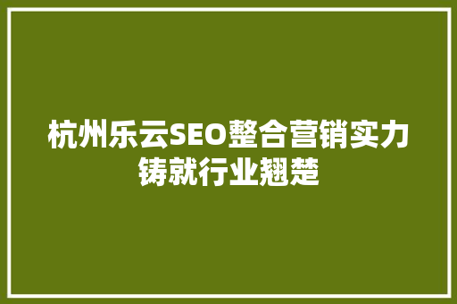 杭州乐云SEO整合营销实力铸就行业翘楚