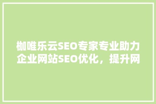 枷唯乐云SEO专家专业助力企业网站SEO优化，提升网络竞争力