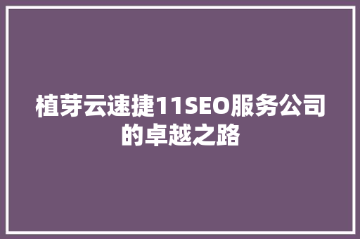植芽云速捷11SEO服务公司的卓越之路