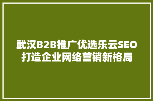 武汉B2B推广优选乐云SEO打造企业网络营销新格局