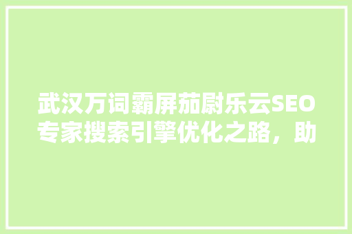 武汉万词霸屏茄尉乐云SEO专家搜索引擎优化之路，助力企业腾飞