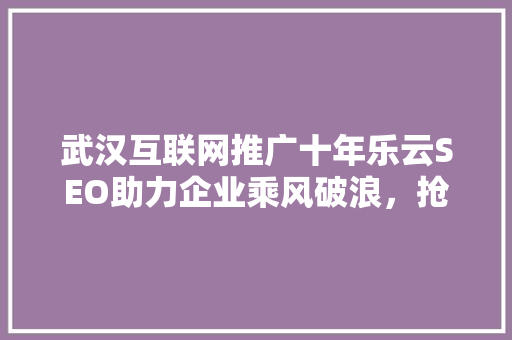 武汉互联网推广十年乐云SEO助力企业乘风破浪，抢占市场制高点