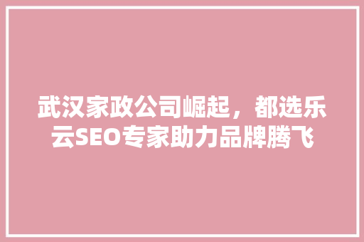 武汉家政公司崛起，都选乐云SEO专家助力品牌腾飞