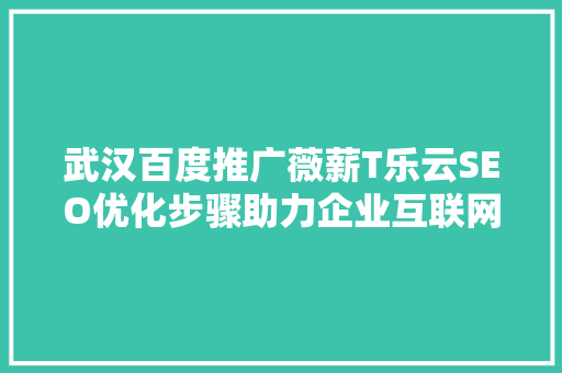武汉百度推广薇薪T乐云SEO优化步骤助力企业互联网营销新篇章